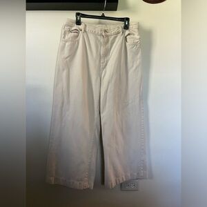 Everlane Super Soft Wide Leg Jean